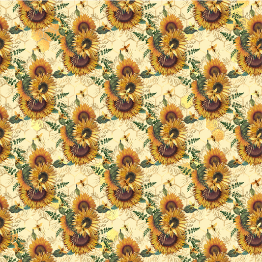 FS05 sunflower