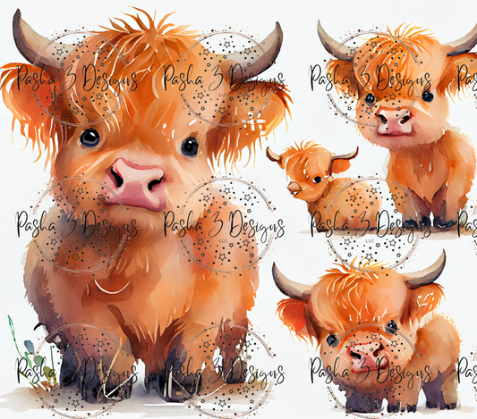 Tw82 Baby Highland Cows