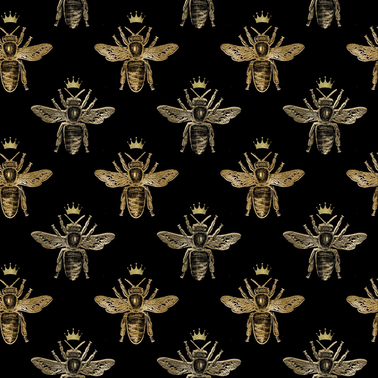 FS1162 black queen bee