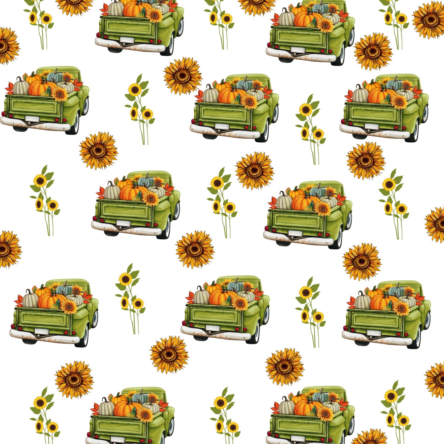 FS1720 sunflower truck