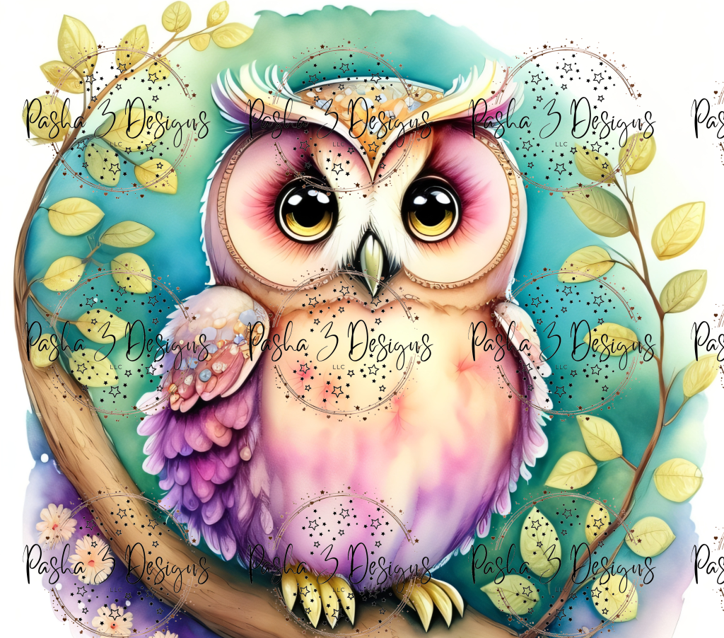 Tw1101 Owl
