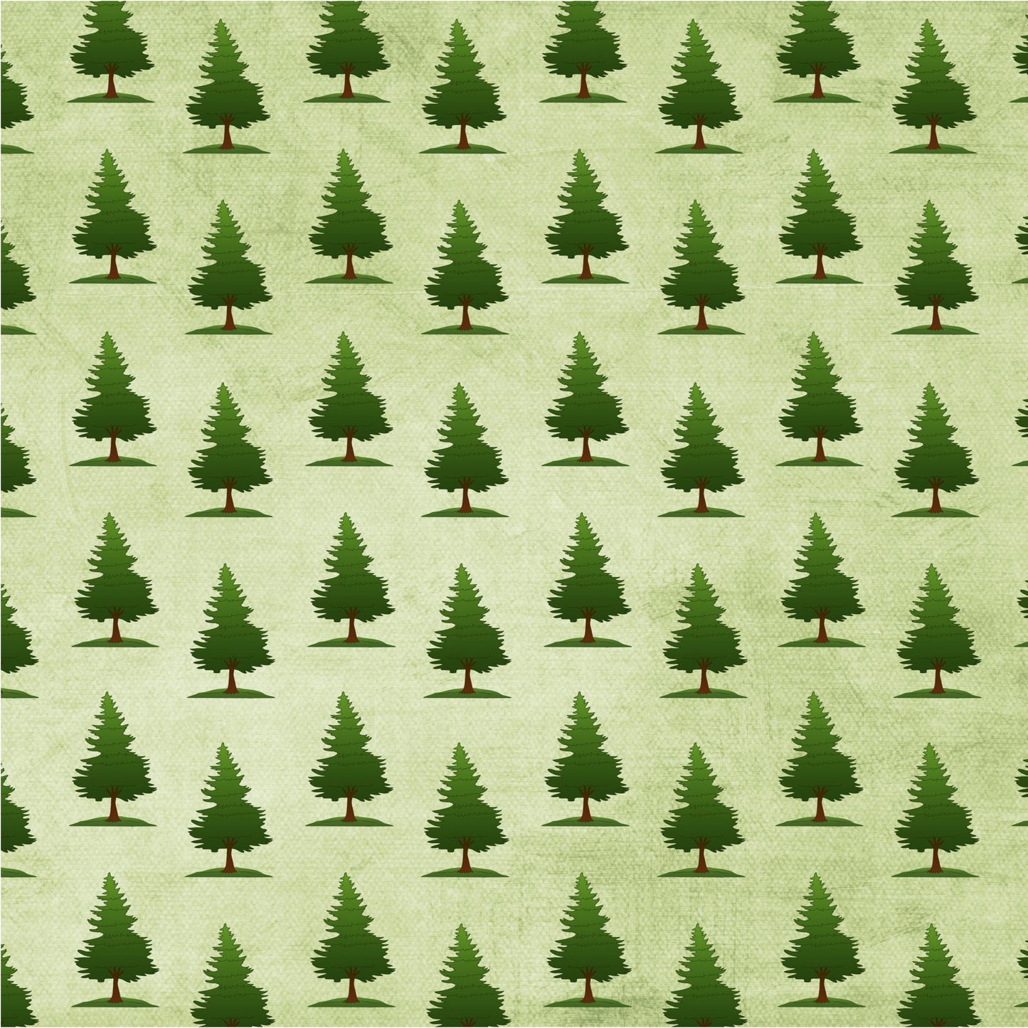 FS164 evergreen trees camping
